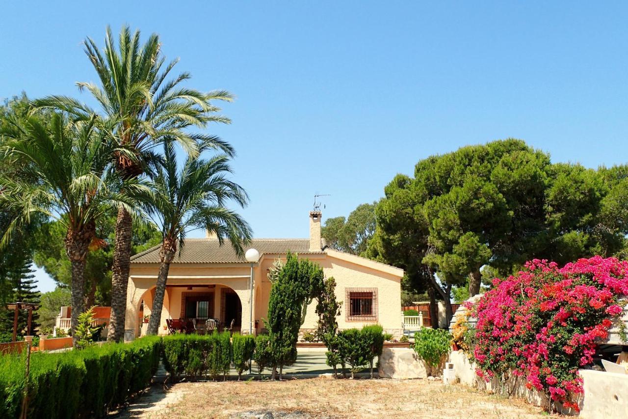 Villa Buganvilla Elche Exterior photo