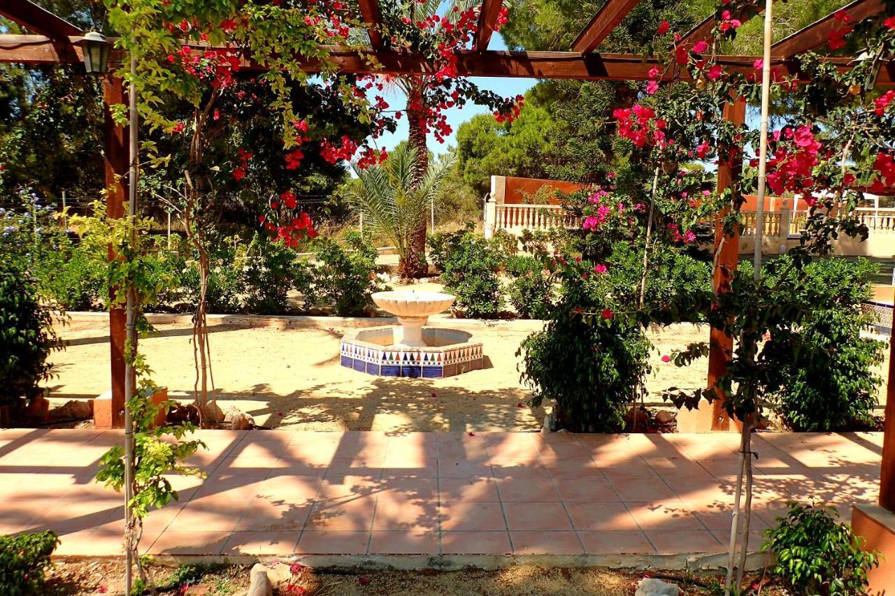 Villa Buganvilla Elche Exterior photo