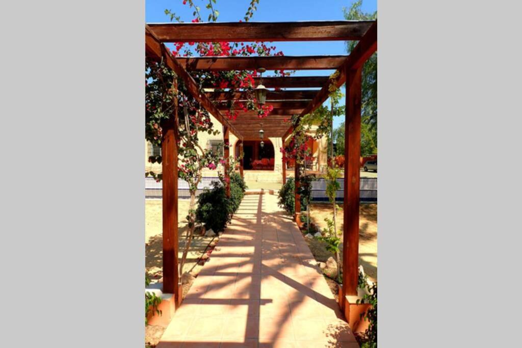 Villa Buganvilla Elche Exterior photo